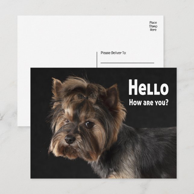 Carte Postale Cute Yorkie Chien Chien Chien Chien Aimer Yorkshir (Devant / Derrière)