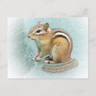 Carte Postale Cutie à rayures - Chipmunk