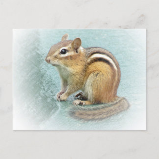 Carte Postale Cutie à rayures - Chipmunk