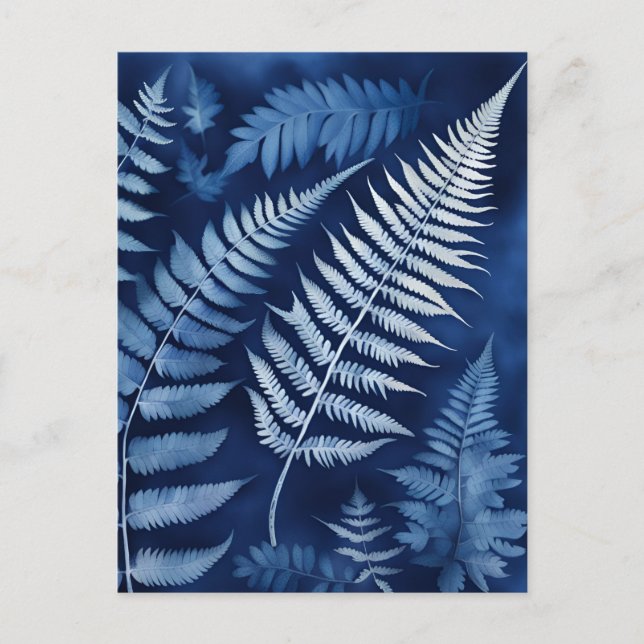 Carte Postale Cyanotype de fougère bleue (Devant)