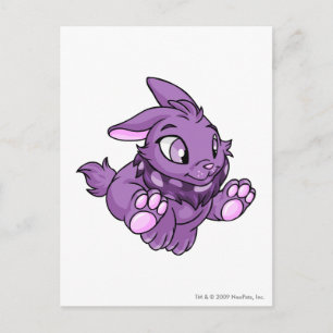 Carte Postale Cybunny pourpre