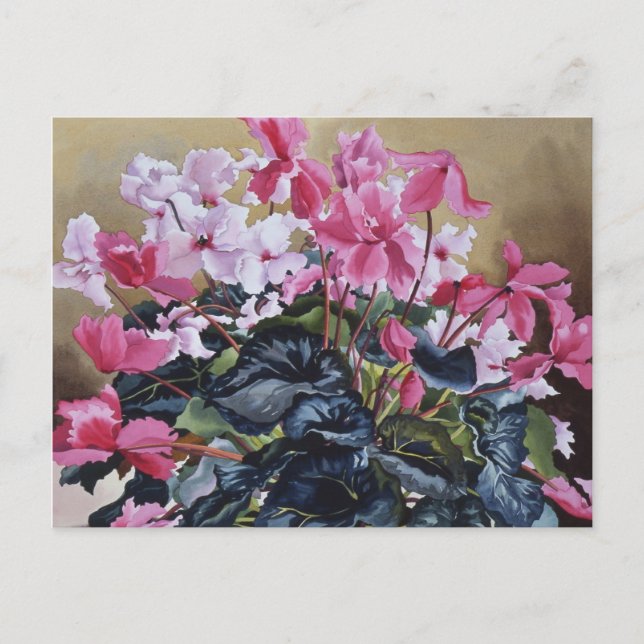 Carte Postale Cyclamen 2004 (Devant)