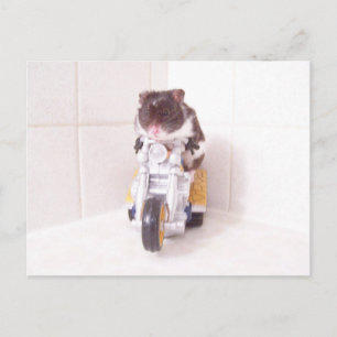 Carte Postale cycle jaune noah