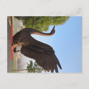 Carte Postale Cygne en vol Lakeland, Floride