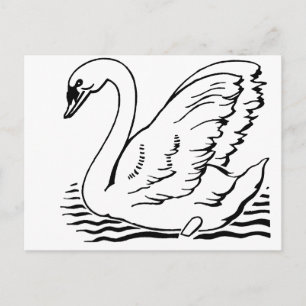 Carte Postale Cygne gracieux