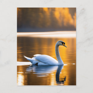 Carte Postale Cygne gracieux sur un lac