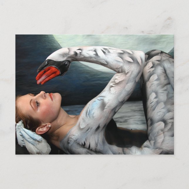 Carte Postale Cygne swan leda postcard (Devant)