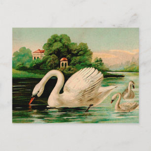 Carte Postale Cygne vintage dans le lac