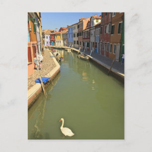 Carte Postale Cygnes dans un canal, île de Burano, Venise, Itali