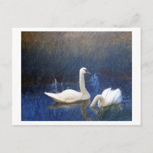 Carte Postale Cygnes en roseaux, Bruno Liljefors