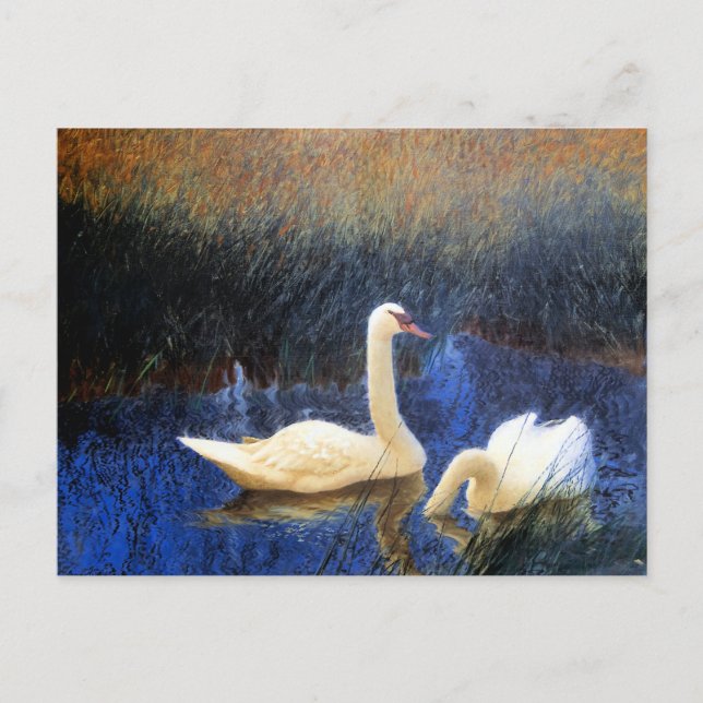 Carte Postale Cygnes en roseaux par Bruno Liljefors (Devant)