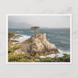 Carte Postale Cyprès solitaire de Pebble Beach à Monterey Photo
