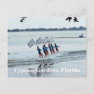Carte Postale Cypress Gardens Florida Girls WaterSkiing PostCard
