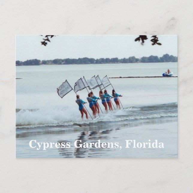 Carte Postale Cypress Gardens Florida Girls WaterSkiing PostCard (Devant)