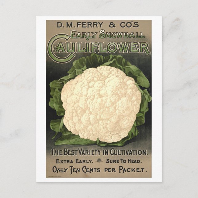 Carte Postale D. M. Ferry & Co. Cauliflower Seed Advertising (Devant)