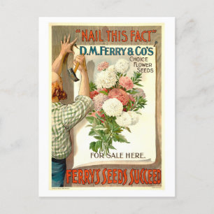 Carte Postale D.M. Ferry Vintage Flower Seed Annonce