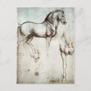 Carte Postale Da Vinci Horse Postcard