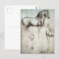 Da Vinci Horse Study Renaissance Sketch Art