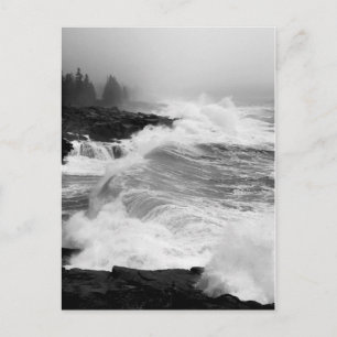 Carte postale d'Acadia Surf - 3