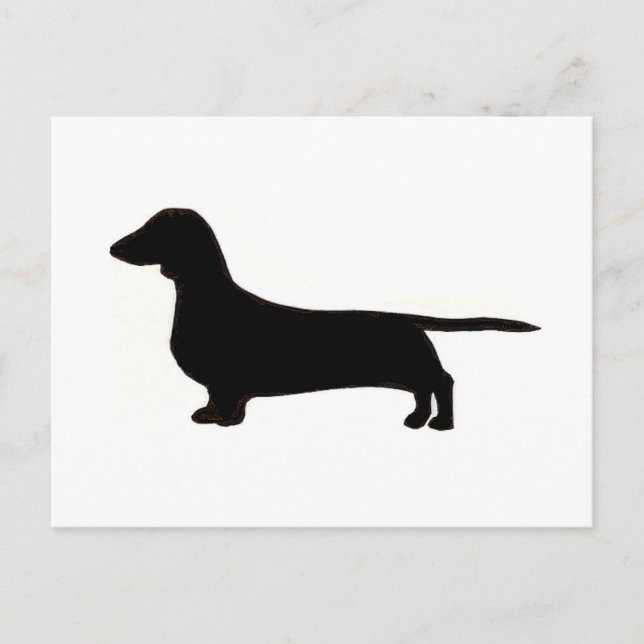 Carte Postale dachshund (Devant)