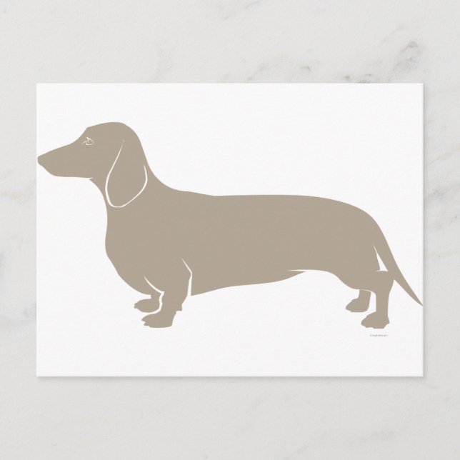 Carte Postale Dachshund (Devant)