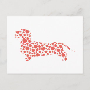 Carte Postale Dachshund À poils durs
