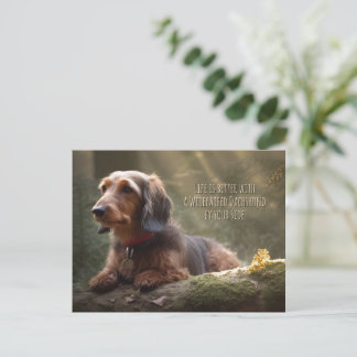 Carte Postale Dachshund à poils durs en forêt