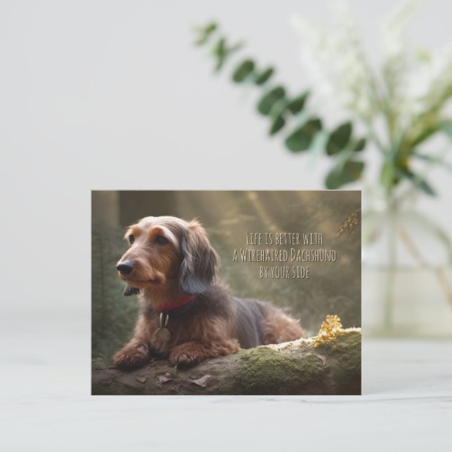 Carte Postale Dachshund à poils durs en forêt (Debout devant)
