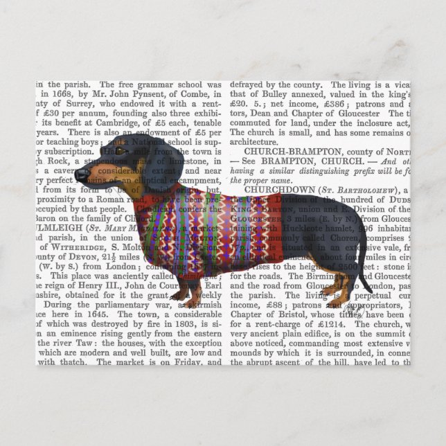 Carte Postale Dachshund Avec Sweat Laineux (Devant)