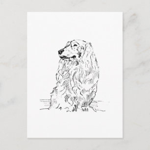 Carte Postale Dachshund – Chien Saucisse à Poil Long
