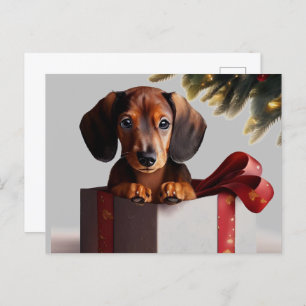 Carte Postale Dachshund Chiot Noël Surprise