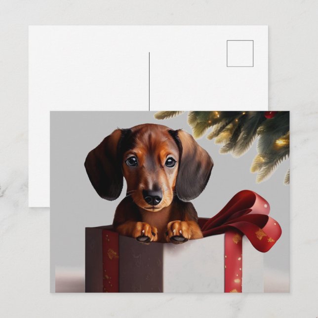 Carte Postale Dachshund Chiot Noël Surprise (Devant / Derrière)