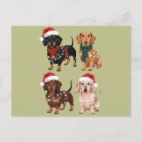 Dachshund Christmas Chien Maman Lover Noël Cadeau