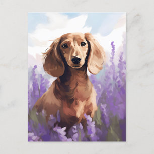 Carte Postale Dachshund dans le champ Lavender
