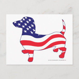 Carte Postale Dachshund dans le drapeau américain
