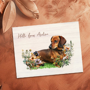 Carte Postale Dachshund dans les fleurs sauvages Bonjour de la c