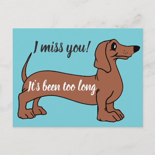 Carte Postale Dachshund doux vous me manquez, c'est trop long ca (Devant)