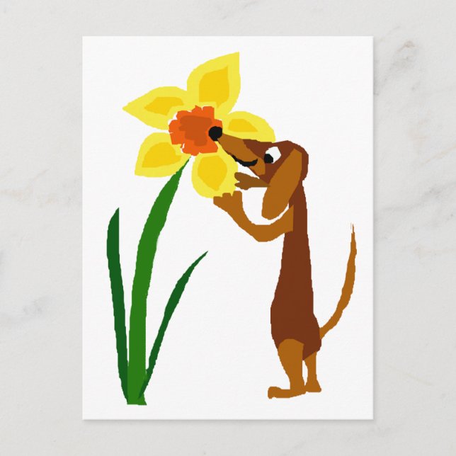 Carte Postale Dachshund drôle Odeur Daffodique Jaune (Devant)