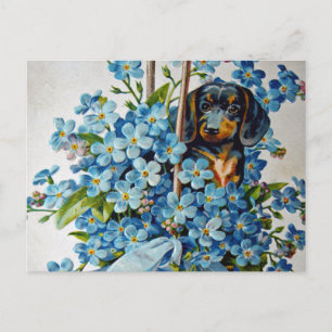 Carte Postale Dachshund et Forget-Me-Nots