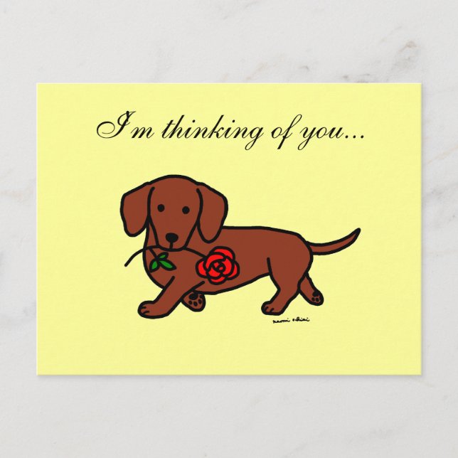Carte Postale Dachshund et un dessin animé sur les fleurs (Devant)