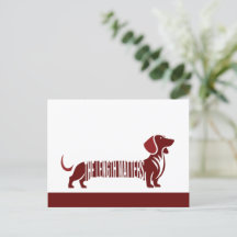 Dachshund - La longueur compte