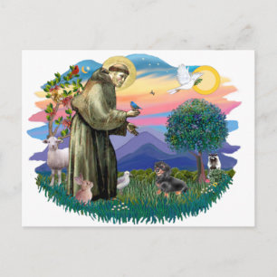 Carte Postale Dachshund (noir et feu)