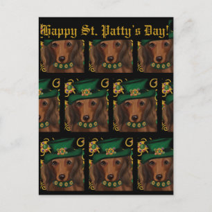 Carte Postale Dachshund roux aux longs poils      