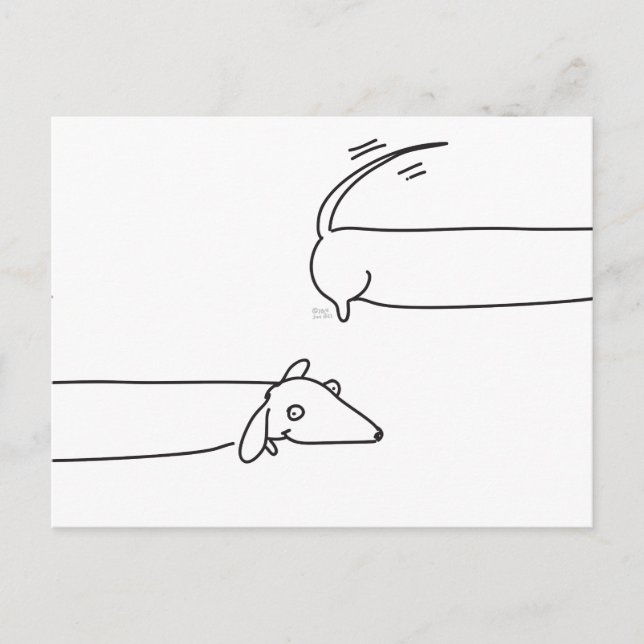 Carte Postale Dachshunds ! (Devant)