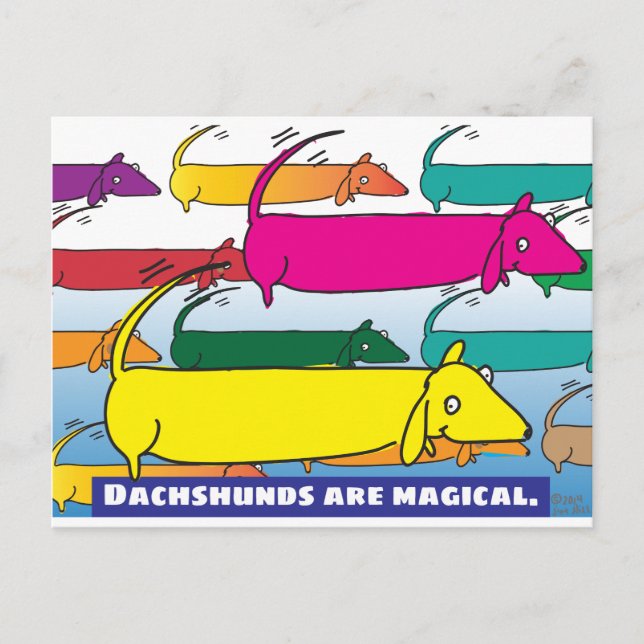 Carte Postale Dachshunds magic (Devant)