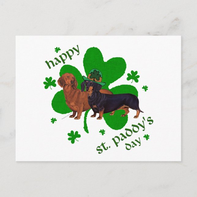 Carte Postale Dachshunds St Patrick's Day (Devant)
