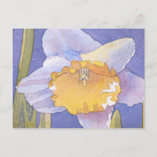 Carte Postale Daffodil 2003