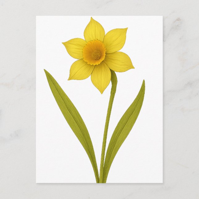 Carte Postale Daffodil — Amour inégal, soleil (Devant)
