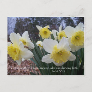 Carte Postale Daffodil imprimé avec Ésaïe 30:15
