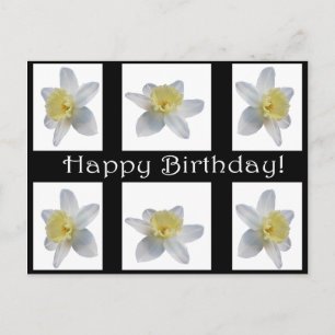 Carte Postale Daffodique blanc
